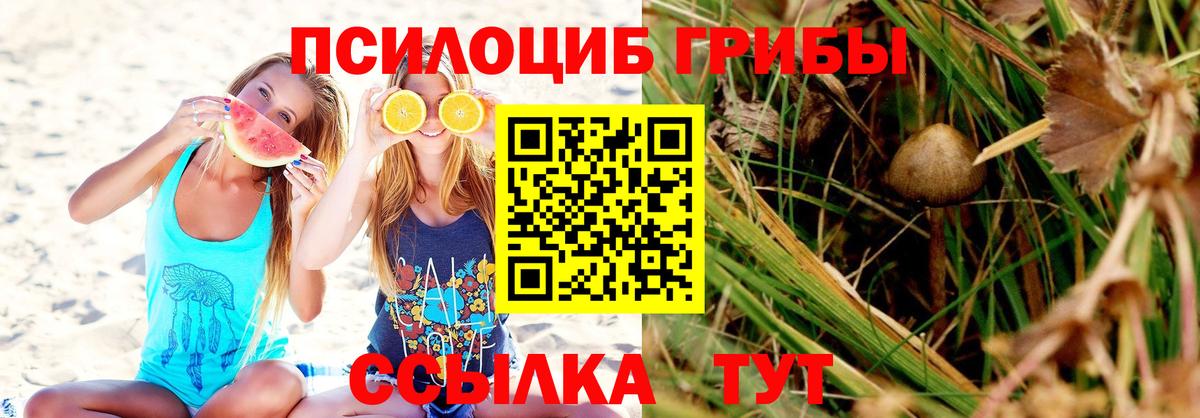 Муром  Галлюциногенные грибы мухоморы  Псилоцибиновые грибы мухоморы  Вход с VPN 
