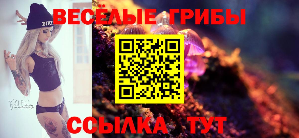 Псилоцибиновые грибы Magic Shrooms Муром
